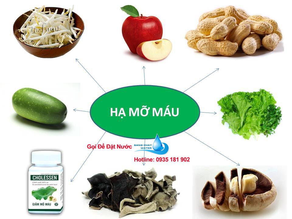 Loại nước uống hạ mỡ máu